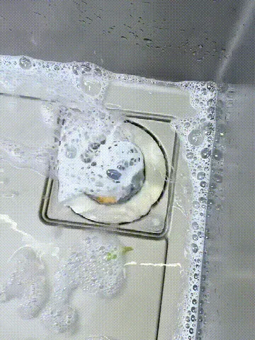 Kitchen Sink Drainer