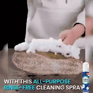 Foaming Heavy Oil Stain Cleaner